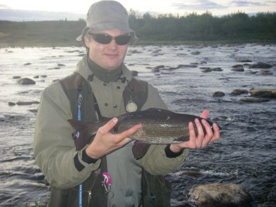 Harjus_50cm1.jpg