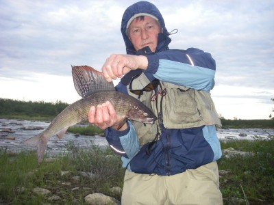 Heikin_harjus_48cm.jpg