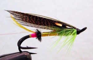 GREENHIGHLANDER_20_iso