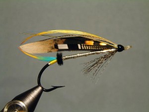 perho_66_iso